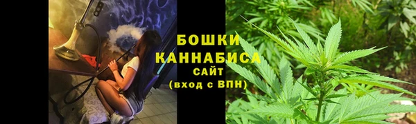 шишки Гусев