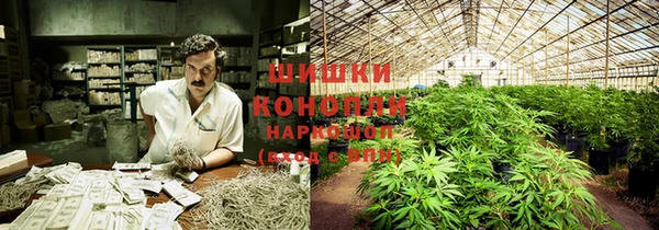 дурь Гусиноозёрск