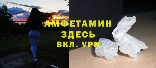 шишки Гусь-Хрустальный