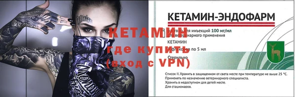 шишки Гусев