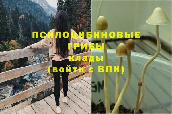 шишки Гусев
