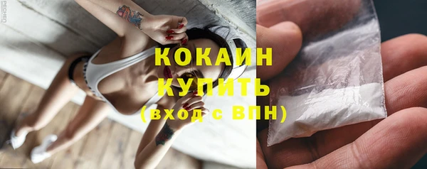 шишки Гусь-Хрустальный