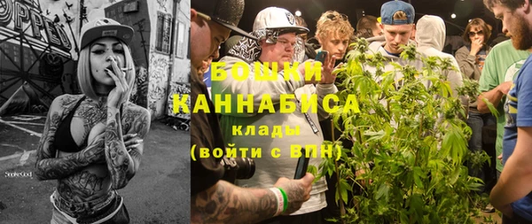 дурь Гусиноозёрск