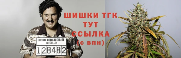 шишки Гусев