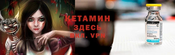 шишки Гусев
