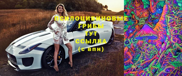 дурь Гусиноозёрск