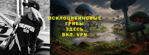 шишки Гусев