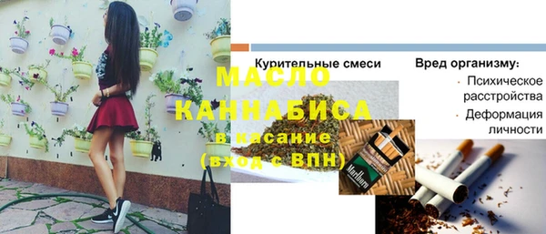 шишки Гусев
