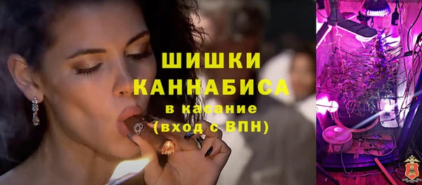 шишки Гусев
